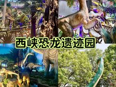 -中国西峡恐龙遗迹园