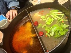 四季草本酸辣鸳鸯锅-盡膳口福·百年汤方火锅(科华北路店)