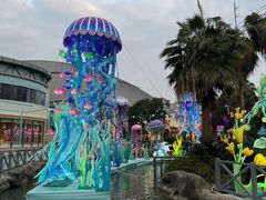 -海合安武汉极地海洋公园