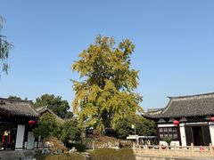 -常熟方塔园