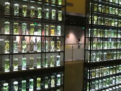 -广东中医药博物馆