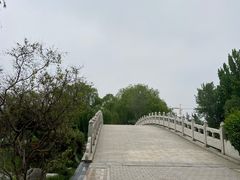 -百脉泉景区