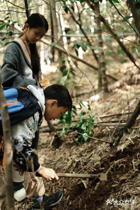 太湖渔洋山图片
