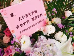 -苏宁影城