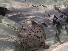 -华夏文旅西安度假区