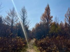 -阿尔山市大兴安岭奥伦布坎景区