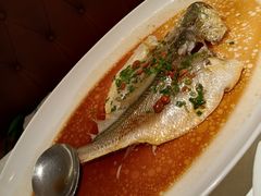 -维园悦谱·海派家常菜(乌鲁木齐南路店)