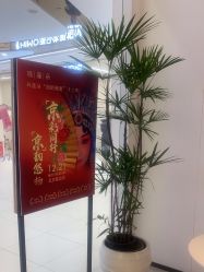 点击看大图 -玛莲朵·海菲秀冰珀科