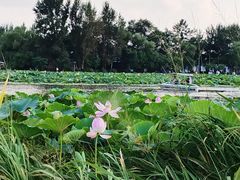 -沈阳市东陵公园