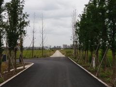 -嘉北郊野公园北游客中心-地上停车场