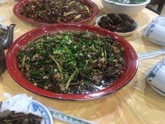 -东吴霸王兔(松青路店)