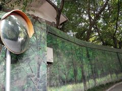 -重庆彩云湖湿地公园