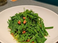 长生果拌丝瓜尖-老济南·地道济南菜(大明湖店)