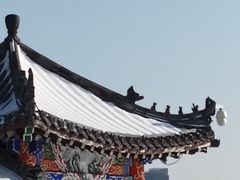 -长春市南湖公园