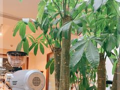 -Line 咖啡(石厦花园店)