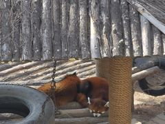 -大连森林动物园