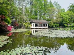 -杭州植物园
