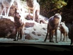 -万达影城(潍坊万达广场IMAX店)