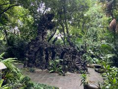 -广州兰圃