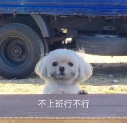 -鏡沙龙发型设计