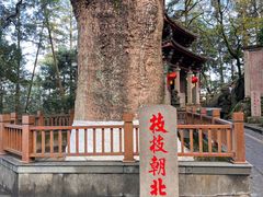 -安溪清水岩