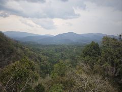 -中国科学院西双版纳热带植物园