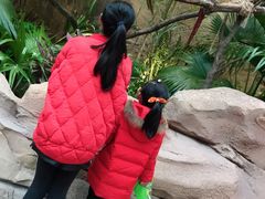 -杭州开元森泊度假乐园