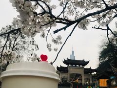-鸡鸣赐茶(鸡鸣寺路店)