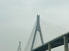 -芒洲湿地公园