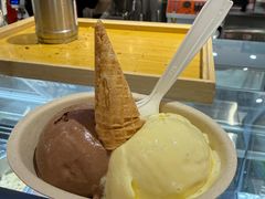 -极拉图·现制冰淇淋(大卫城店)