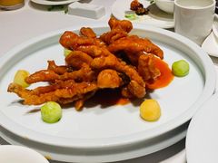 珊瑚鱼-二十四单 淮扬新味