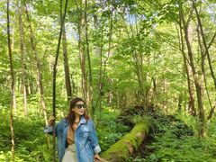 -五营红松林海景区