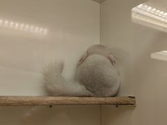 -龙猫仔乐园(惠福东路店)