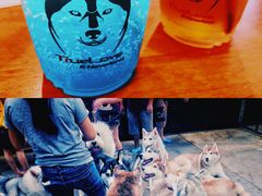 -TrueLove @ Neverland (Husky Cafe)