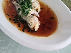-上海新锦江大酒店