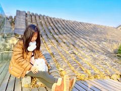 -自如ZSPACE四合院艺术餐厅