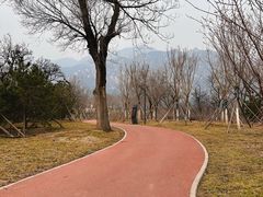 -北京凤凰岭