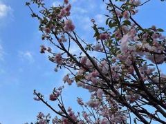 -观澜湖生态运动公社