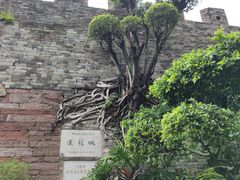 -广州莲花山旅游区