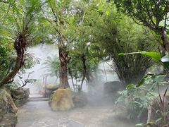 -荷花温泉