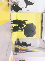 -格林童趣专业儿童摄影(公益西桥店)