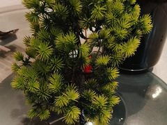 -新白鹿餐厅(龙游路总店·杭帮菜名店)
