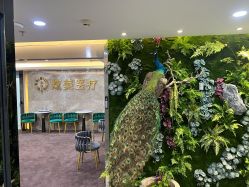 -北京炫美医疗美容