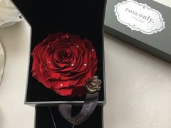 -ROSEONLY诺誓(青岛万象城店)