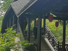 -合肥滨湖国家森林公园