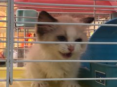 -宠爱我(南山店)