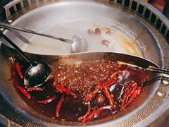 -辣伍鲜毛肚老火锅(元一店)