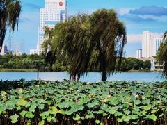 -金银湖国家城市湿地公园