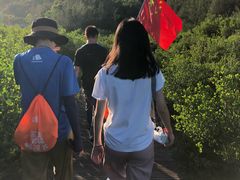 -亚龙湾国际玫瑰谷