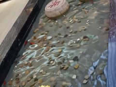 -天沐温泉(抚顺店)